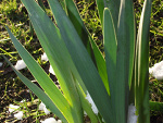 Fotoblog alonenow
