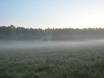 Fotoblog wikipek1