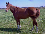 Fotoblog oldenburska