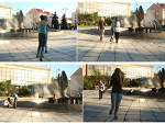 Fotoblog piierdoolsie