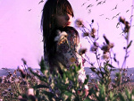 Fotoblog teelqqa