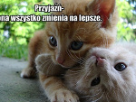 Fotoblog maalawredna