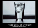 Fotoblog jebzdzidy
