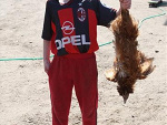 Fotoblog lubiesieruchac
