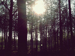 Fotoblog fotonm