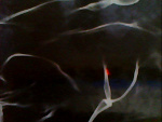 Fotoblog whatsgonnabenow