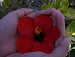 Fotoblog sauriii