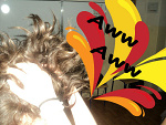Fotoblog adis335