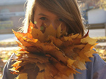 Fotoblog koniu3321