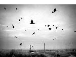 Fotoblog hools123