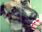 Fotoblog forverydifferent