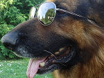 Fotoblog oo0grafi0oo