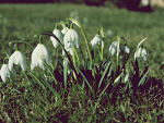 Fotoblog jowitxd