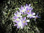 Fotoblog szymmekxd