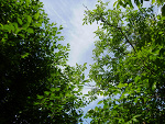 Fotoblog esyfloresyxd