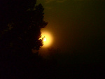 Fotoblog narbis