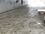 Fotoblog kaczorek3