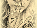 Fotoblog lissaaa