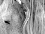 Fotoblog opowiadaniebajkowe