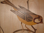 Fotoblog artkedar