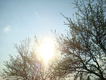 Fotoblog heartbreakerxx