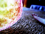 Fotoblog iloe14