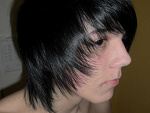 Fotoblog letsroll