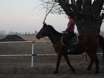 Fotoblog walentynkaa