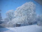 Fotoblog morrisek