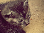 Fotoblog jachcelizaka