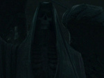Fotoblog accioharry