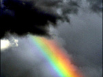 Fotoblog foreeveraloone