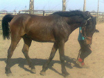 Fotoblog zulusek123