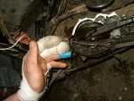 Fotoblog robsonek007