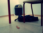 Fotoblog pieldolniety