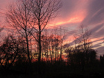 Fotoblog muffliiato