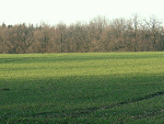 Fotoblog samijka