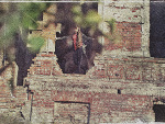Fotoblog fruggooo