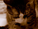 Fotoblog rolli25