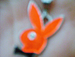 Fotoblog xdstworzonabykochacxd