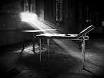 Fotoblog trupiafarma