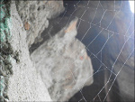 Fotoblog counterfeeit