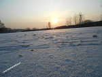 Fotoblog czarnamambaxd