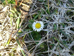 Fotoblog linka179