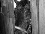 Fotoblog julissia