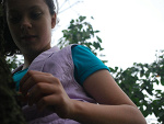 Fotoblog owocowa1444
