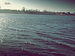 Fotoblog fuckkxd
