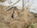 Fotoblog pateka3