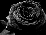 Fotoblog liliannnna