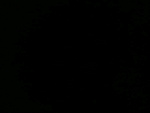 Fotoblog alegrev
